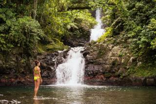 Taveuni Island Resort & Spa - 1
