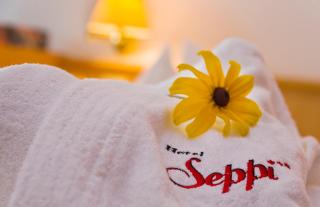 Hotel Seppi - Mühlbach - 7