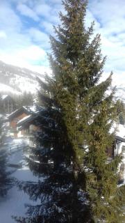Ca del nono - Pragelato - 5