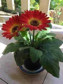 Riverlife Homestay - 1