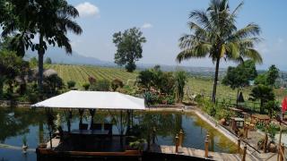 Aythaya Monte diVino Lodge - 7