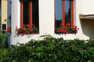 Apartmán Dobrá Naděje - 0