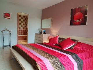 Luxury villa with garden and covered terrace - Beaumes-de-Venise - 3