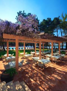 Hotel Aurora Plava Laguna - Umag - 2