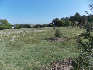 Le Petit Breuil - Verteillac - 2