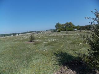 Le Petit Breuil - Verteillac - 1