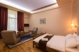 Olympia Garden Hotel - Erevan - 4