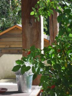 Cottage Prairie Bonheur - Magny-les-Hameaux - 0