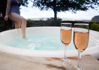 Trigony Hotel and Garden Spa - Closeburn - 6