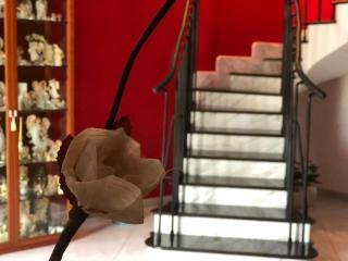 El Nur Bed & Breakfast - San Vito lo Capo - 1