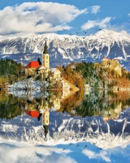 Apartments and Rooms Tavcar - Bled - 9