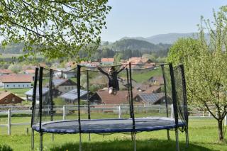 Pension Waldkristall - Frauenau - 1