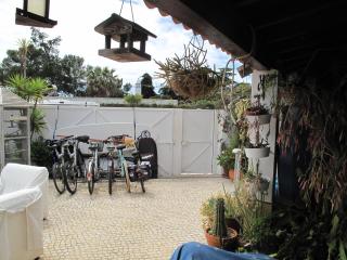Casa dos Cactos - 1