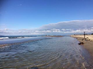 Thornton Beach Holiday park - Thornton - 1