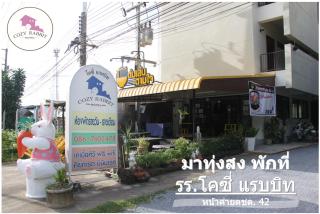 Cozy Rabbit Hotel - 7