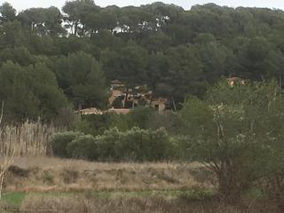 Gites Velaux Ecureuil et Pinède - Velaux - 7