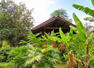 Pencave Homestay - Pang Mapha - 3
