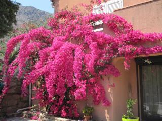 Villa Pastriccialone - 2