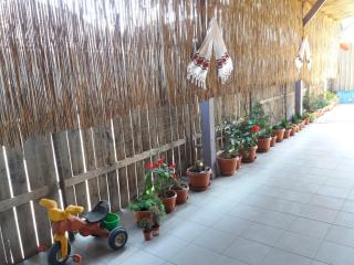 Casa Rodisa - Turda - 0