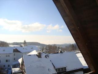 Appartement Am Astenkick Altastenberg - Winterberg - 1