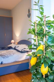Apartments Peric - 6