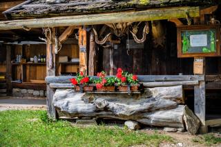 Mareinhof - Urlaub auf dem Apfelbauernhof - Parcines - 5