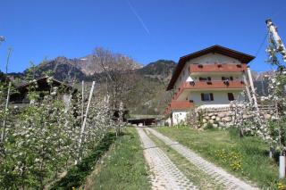 Mareinhof - Urlaub auf dem Apfelbauernhof - Parcines - 7