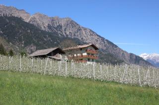 Mareinhof - Urlaub auf dem Apfelbauernhof - Parcines - 8