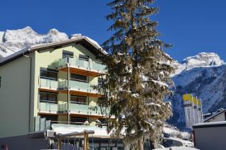 Hotel Hahnenblick - Engelberg - 8