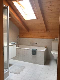 Penthouse Apartment - Sez Ner - Obersaxen - 1