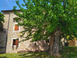 al Merlo Olivo, rural istrian house - Buje - 4