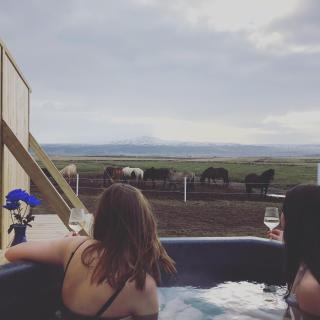 Akurgerði Guesthouse 8 - Country Life Style - Ölfus - 1