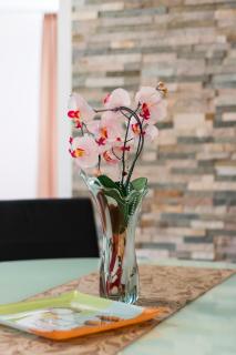 Apartments Salak - Pula - 8