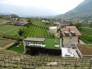 Hotel Flora - Algund - 5
