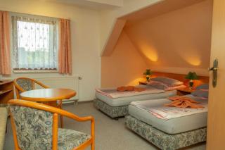 Pension zum Schwanenteich - Haldensleben - 2