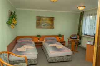 Pension zum Schwanenteich - Haldensleben - 3