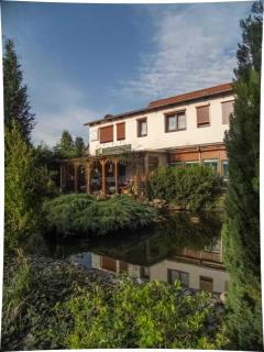 Pension zum Schwanenteich - 9