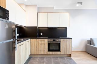 MS Apartments 4 Seasons VI - 4