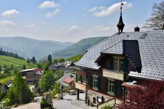 Hotel & Chalets Herrihof - Todtnauberg - 0