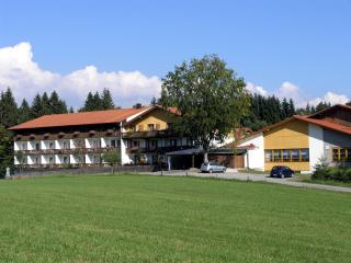 Landhotel Tannenhof - Spiegelau - 8