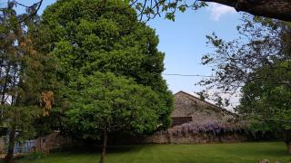 Le Clos de la Font Queroy - Vouthon - 2