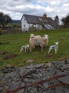 1 Penygroes - Penmachno - 3