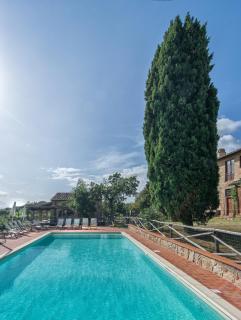 Tenuta San Vito In Fior Di Selva - Montelupo Fiorentino - 3