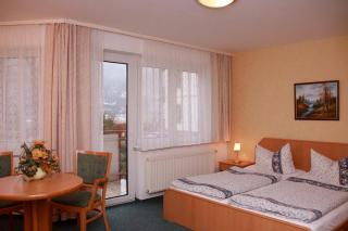 Hotel-Garni Elbgarten Bad Schandau - Bad Schandau - 3