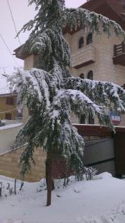 Merab Hotel - Kfardebian - 7