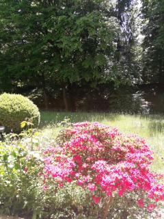 Apartment near Villa Turgenev - Baden-Baden - 8