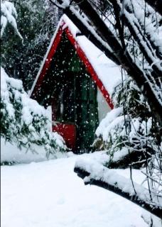 Alenguei - Bariloche - 0