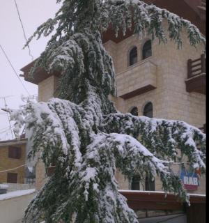 Merab Hotel - Kfardebian - 3