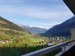 Haus Alpenkönig Top 17 - Bad Gastein - 0