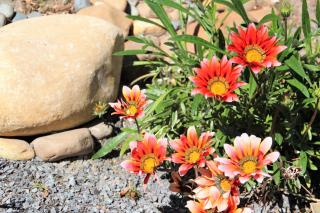 Southern Cross Guesthouse - Somerset West - 8
